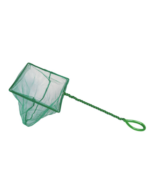 Coghlan's Pond Net