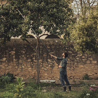 Fiskars  PowerGear X Telescopic Tree Pruner (UPX86)