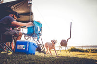 Coleman 16-Qt High Performance Cooler – Portable &amp; Efficient