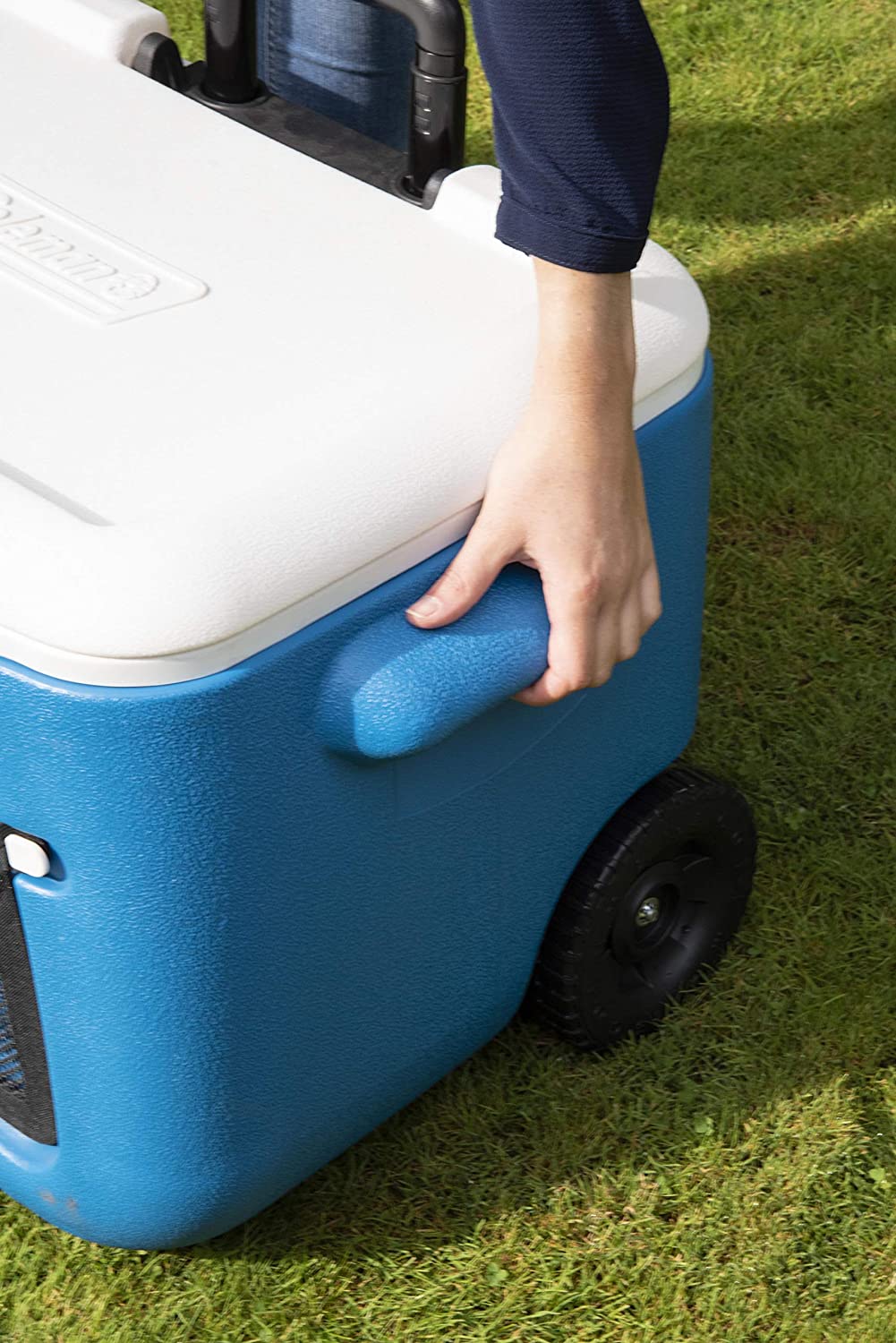 Coleman 50 Quart Cool Box