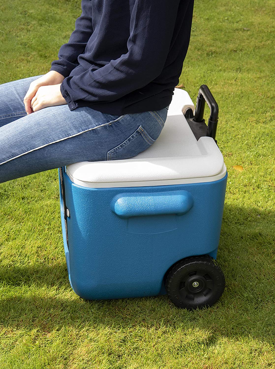 Coleman 50 Quart Cool Box