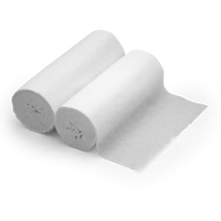 Coghlans Toilet Tissue - PKGD
