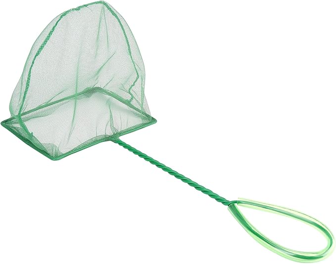 Coghlan's Pond Net
