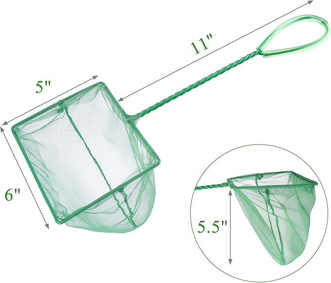 Coghlan's Pond Net