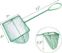 Coghlan's Pond Net