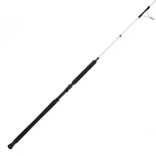 PENN 1422411 Battalion Inshore Popping 80lb