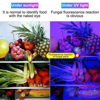 K-207 UV Flashlight Black Light USB Rechargeable Currency Check - portable UV Flashlight - Rechargeable car light USB Rechargeable Light -Portable Handheld Cat Detector lamp,for Dog Cat Care and Resin Curing