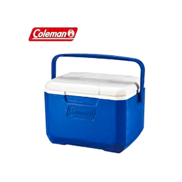 Cooler 5 Quart Peromance Blue